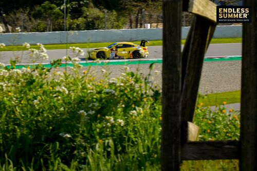 260316ESBarcelona162502 | Endless Summer - Barcelona 16.-17.03.2026