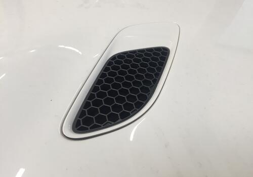 Carbon front bonnet ALMS style with powerdom and vents - Galerie #4